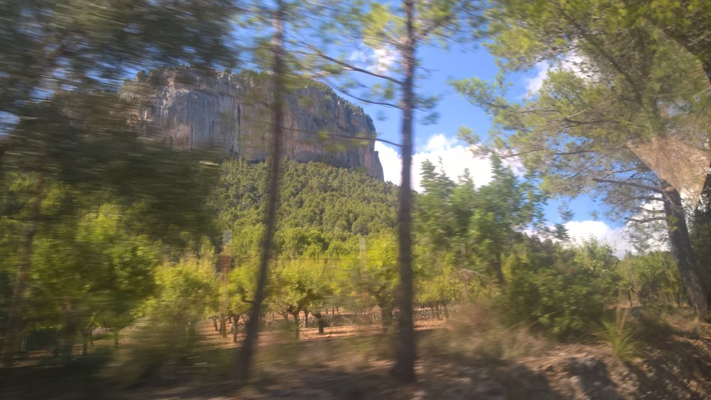 WP_20170918_15_26_54_Pro.jpg