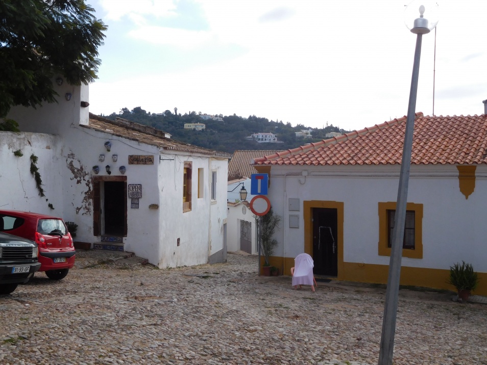 silves1