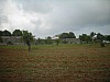 DSCN1711.jpg DSCN1711.jpg