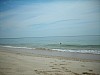 DSCN1733.jpg DSCN1733.jpg